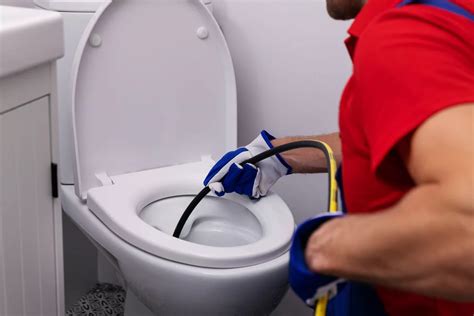 port moody clogged toilet repair|Moe's Plumbing Drainage & Heating .